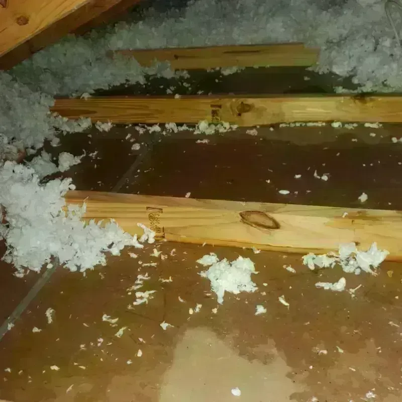 Attic Water Damage in Sanborn, NY